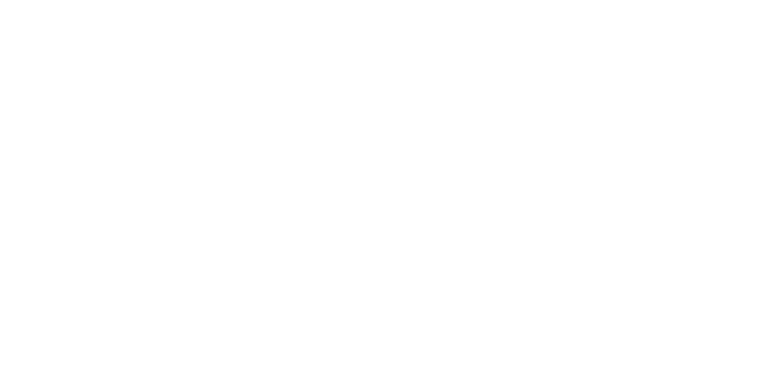Alkalizer Logo